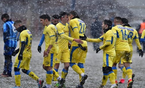 ”Lupii”, amical la Târlungeni. Petrolul – Csikszereda Miercurea Ciuc