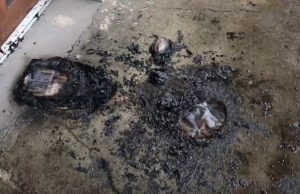 foto: captura video Clujust