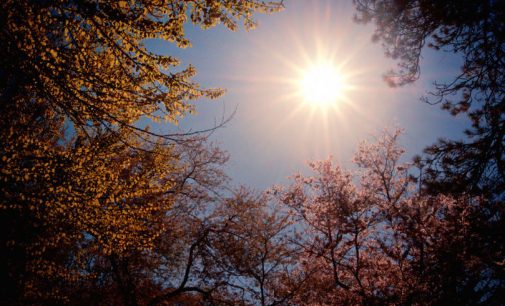 Vești bune de la meteorologi! Vremea se încălzește considerabil în zilele următoare