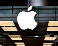 Apple face un pas important în Europa. Anunțul care îi vizează și pe cei peste 900.000 de români din Germania